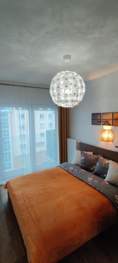 Zebra Apartment วรอตซวาฟ ภายนอก รูปภาพ